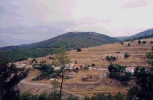 Minas del Horcajo. Año 2006